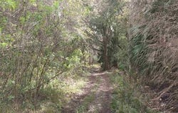 E Essex Road, Hastings, FL 32145