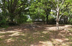 203  Tracey Cir, Enterprise, AL 36330