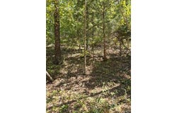 000 County Road 421, Birch Tree, MO 65438