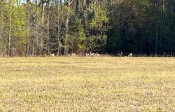0 E SHIRE DRIVE, BERLIN, MD 21811
