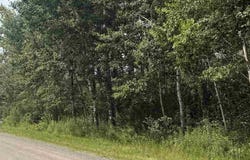 TBD S PEARY DRIVE, Eveleth, MN 55746-0000