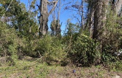 235TH LN, Dowling Park, FL 32060