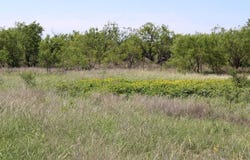 414 County Road 414, Brady, TX 76825