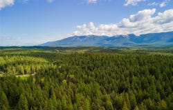 NHN Broken Jaw Trail, Eureka, MT 59917