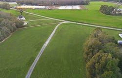 227 Deere Dr, Samson, AL 36477