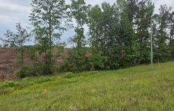 Highway 29, New Augusta, MS 39462