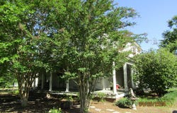 354 NW Bennett St, Pelham, GA 31779