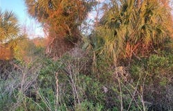 100 NW 294th Street, Okeechobee, FL 34972