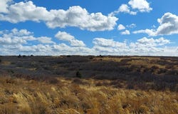 TBD Road C, Dove Creek, CO 81324
