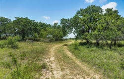 43.18 Acres 281 Highway, Jacksboro, TX 76458