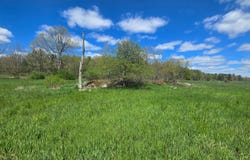 00 Cooper Rd, Hammond, NY 13646