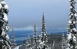 L3 B2 Tall Timber, Sandpoint, ID 83864