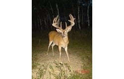 N 11 Mile Road, Irons, MI 49644