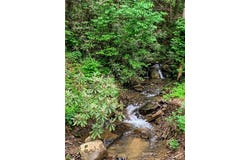 338 Canter Court, Ellijay, GA 30540