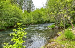 1250 Netherlands Road, Trail, OR 97541