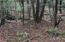 Conroy Court, Collettsville, NC 28611