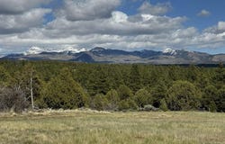 Road 39.2, Mancos, CO 81328