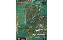 V/L N Wines Road, Paradise, MI 49768
