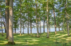 538 Patricia Drive, Coldwater, MI 49036