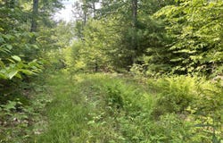 63 New Boston Road, Francestown, NH 03043