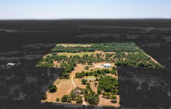 1534 Live Oak Road, Santo, TX 76472