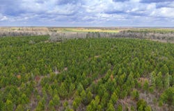 0 Highland Rd, Slocomb, AL 36375