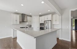24355 Pinnacle Circle, Lyon Twp, MI 48178