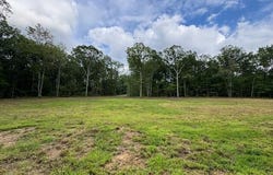 545 Shelby Way, Clarkrange, TN 38553