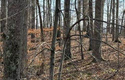 Mountain Harbor Drive lot: 13, Sparta, TN 38583