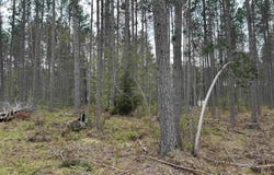 TBD Parcel 3 Paint River, Crystal Falls, MI 49920