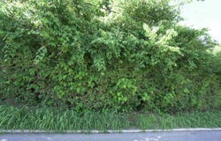 43.5-45.5 Kentucky Drive, Newport, KY 41071