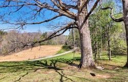 1030 Macedonia Church Road, Blue Ridge, GA 30513