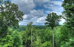 897 Faraday Drive, Ellijay, GA 30540