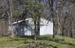 8656 N Dog Patch Drive, Irons, MI 49644