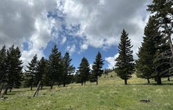 TBD, Big Timber, MT 59011