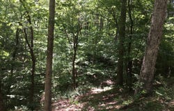 Damascus Road, Ball Ground, GA 30107