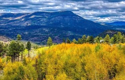 94 Rock Ridge Court, South Fork, CO 81154