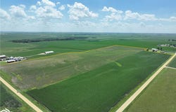 295th, Manchester, IA 52057