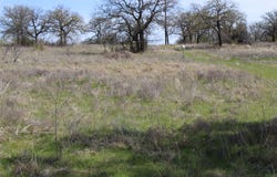 21 AC Erwin, Perrin, TX 78486