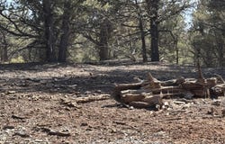 Unit 1 Tract 117 El Vado Lake Subd., Tierra Amarilla, NM 87575