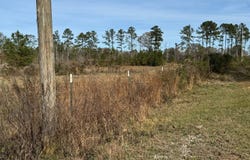 01 Norris-Homewood Rd., Forest, MS 39074