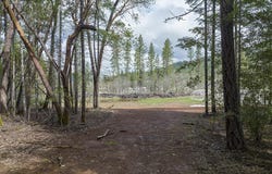 234 Lurline Lane, Cave Junction, OR 97523