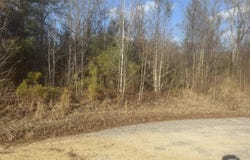 Flake Road, Orangeburg, SC 29115