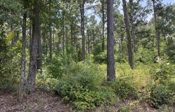 3245 CR 1095, Center, TX 75935