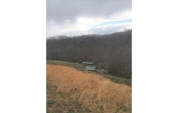 11 ACRES SPRING BRANCH, WAYNE, WV 25570