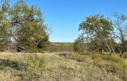 2015 Hidden Bluff Drive, Aledo, TX 76008
