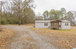 3875 BLUE SPRINGS ROAD, WILSONVILLE, AL 35186