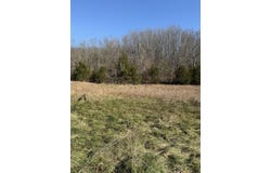 Varvel Rd, Willow Springs, MO 65793