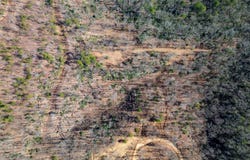 Wind River Trail, Cleveland, SC 29635