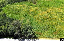 TBD Cove Road, New Hope, NC 27944